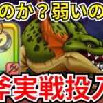 【ドラクエウォーク】ルビスの月斧を実戦投入！使い勝手はいいのか？！