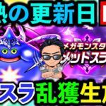 【ドラクエウォーク】コメットスライムがこころも弱いし、害悪的強さってマジ？駆除するわ