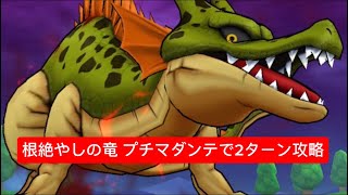 根絶やしの竜 プチマダンテで2ターン攻略 【ドラクエウォーク】