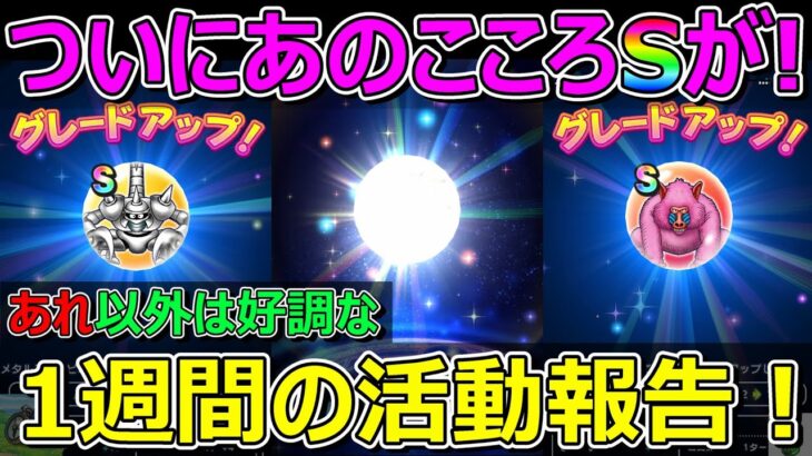 【ドラクエウォーク】やっとあのこころS！けど沼もある1週間の活動報告！プレイ状況共有！