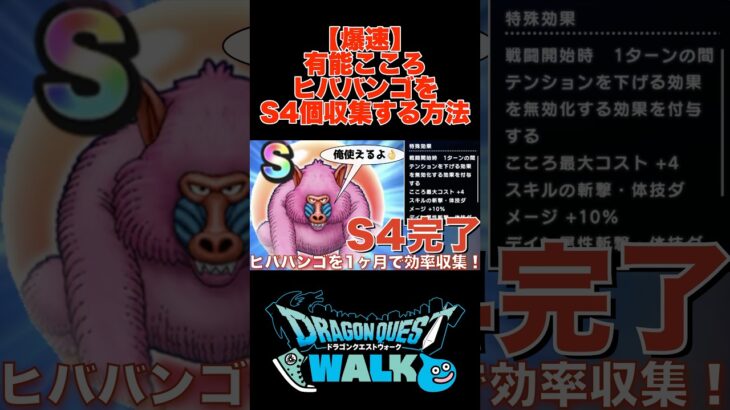 有能こころ ヒババンゴ 爆速でS4個収集する方法  #ドラクエウォーク