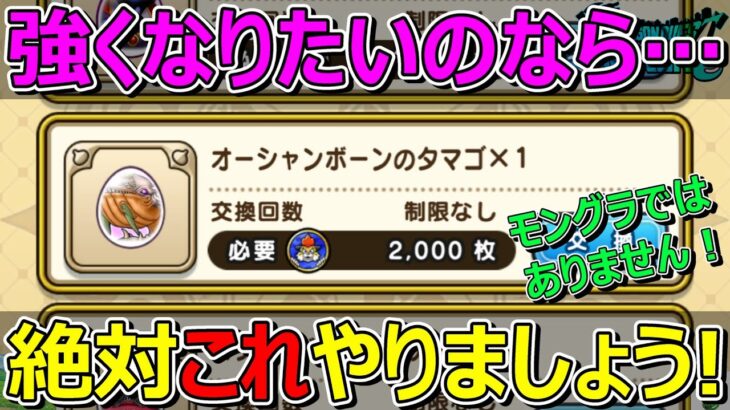 【ドラクエウォーク】少しでも強くなりたいのなら優先してやりましょう！モングラではないです！